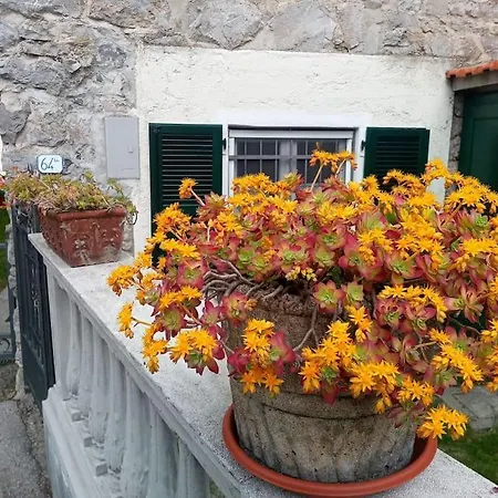 La Casetta Di Apartment Barzio